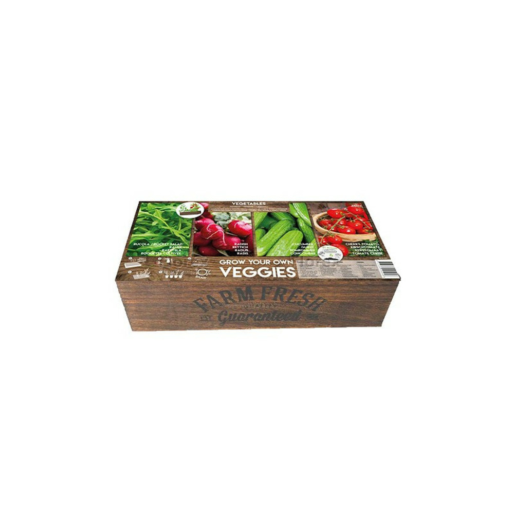 Carré de potager légumes avec mini serre