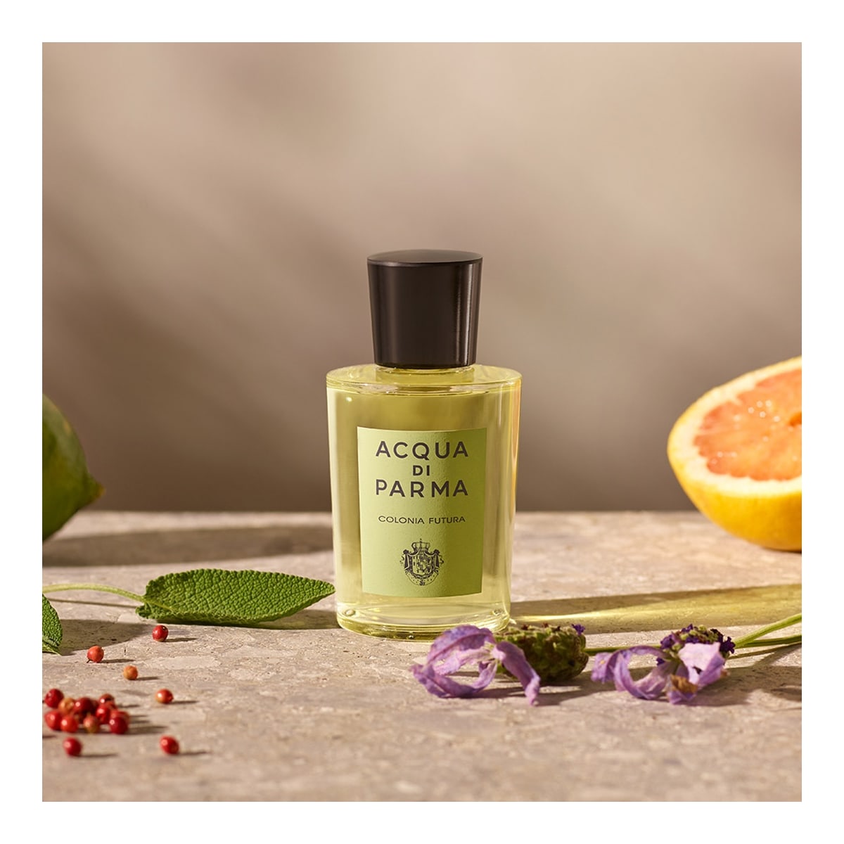 ACQUA DI PARMA Colonia Futura Eau de Cologne