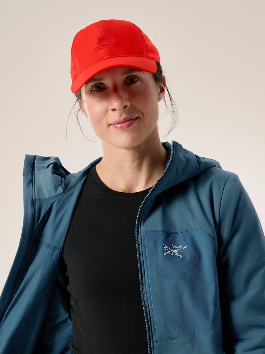 Arc'teryx Bird Word Cap Dynasty