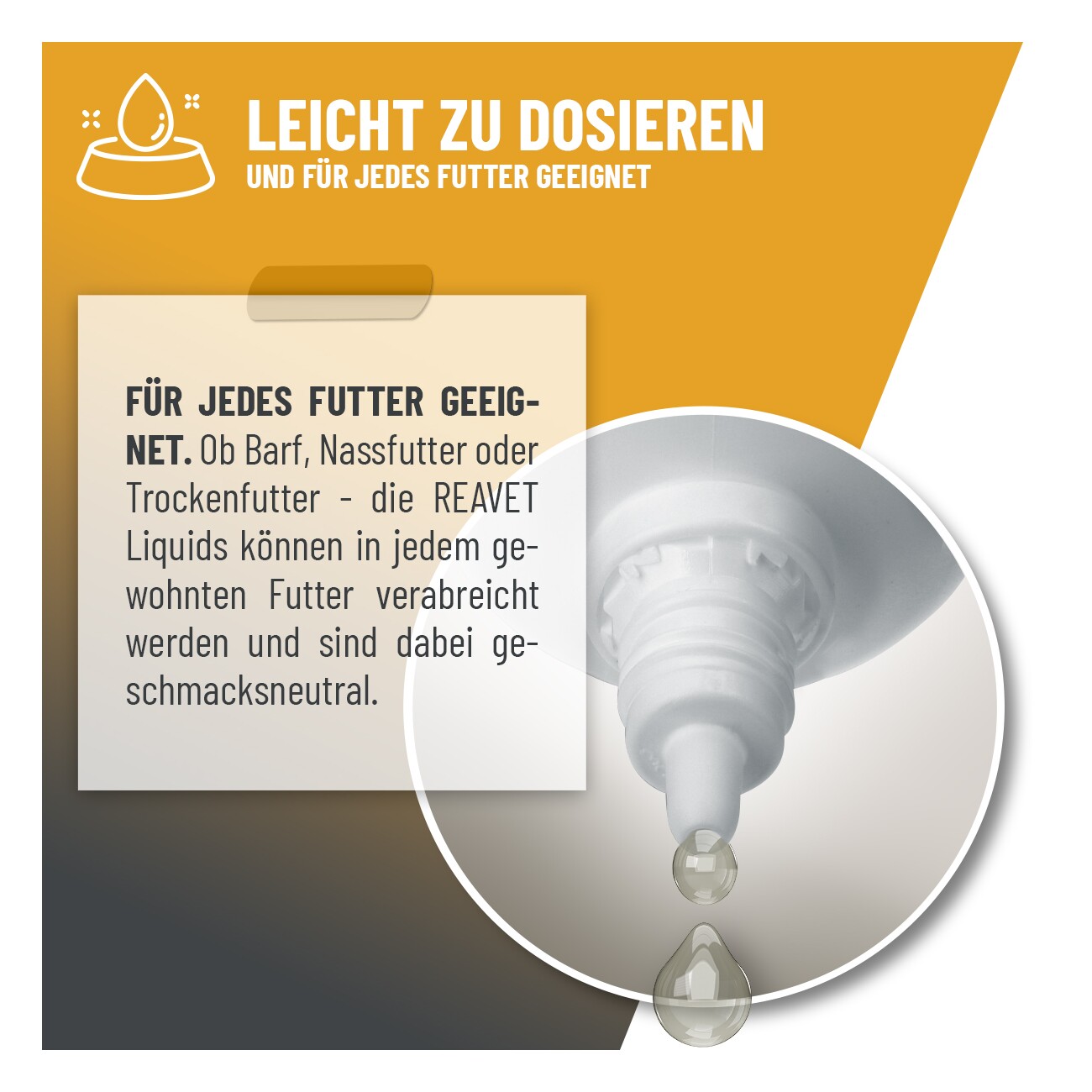 REAVET Immun Aufbau Tropfen 100ml
