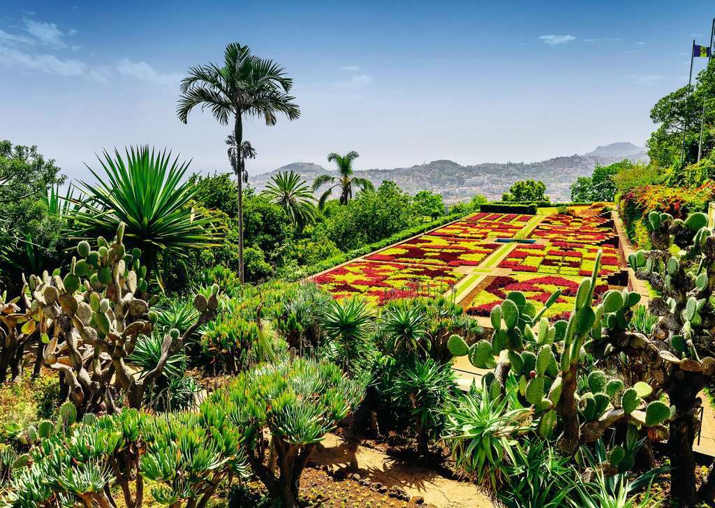 Ravensburger Spiel Botanical Garden, Madeira