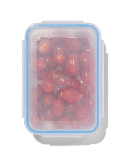 boîte à clip 0.7L 18.5x13x5.5