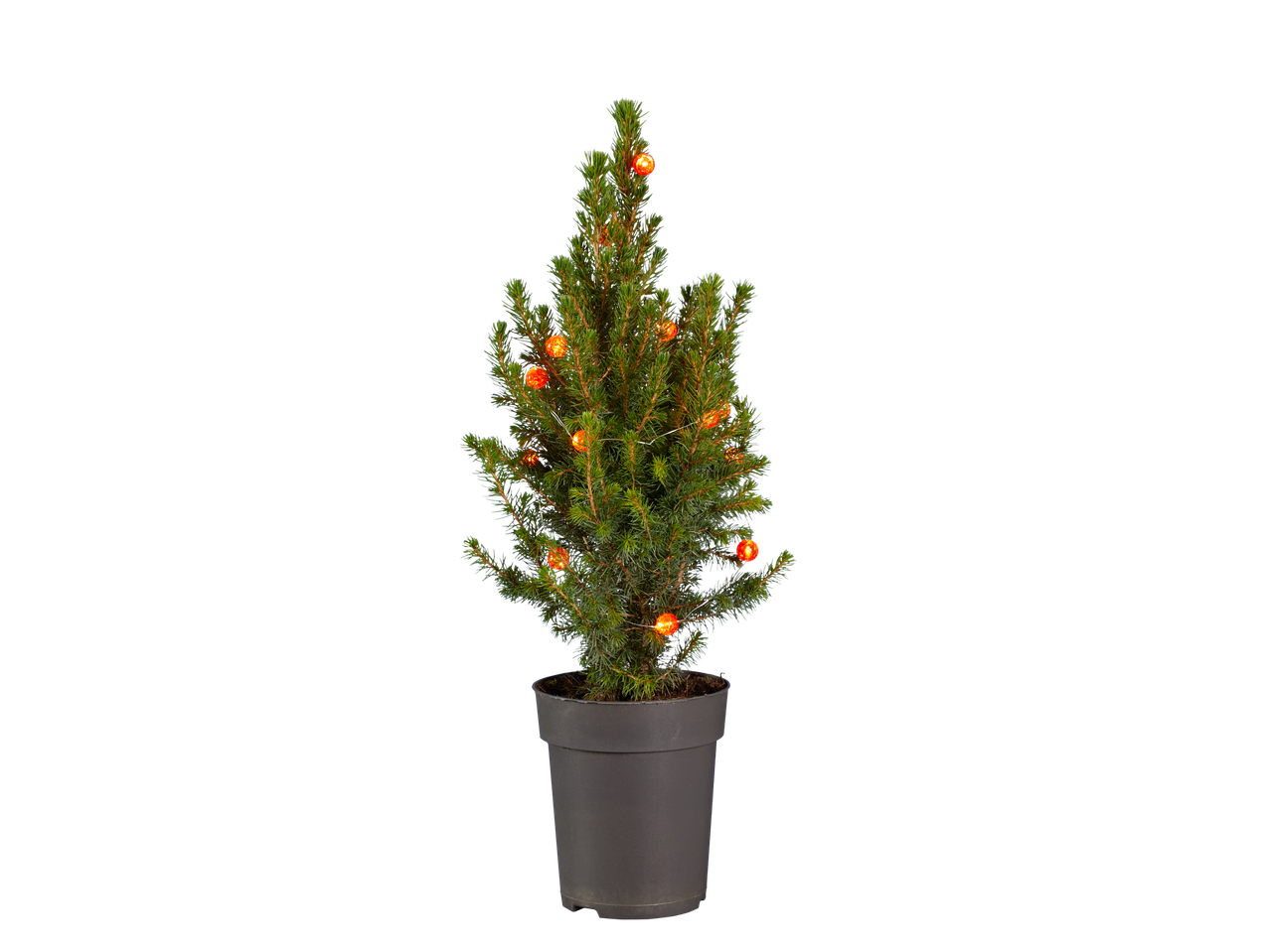Mini kerstboom met verlichting