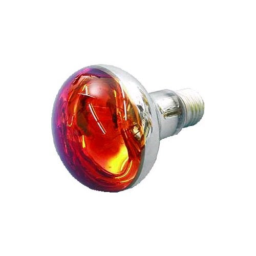 Omnilux R80 230V 60W E-27 reflectorlamp rood