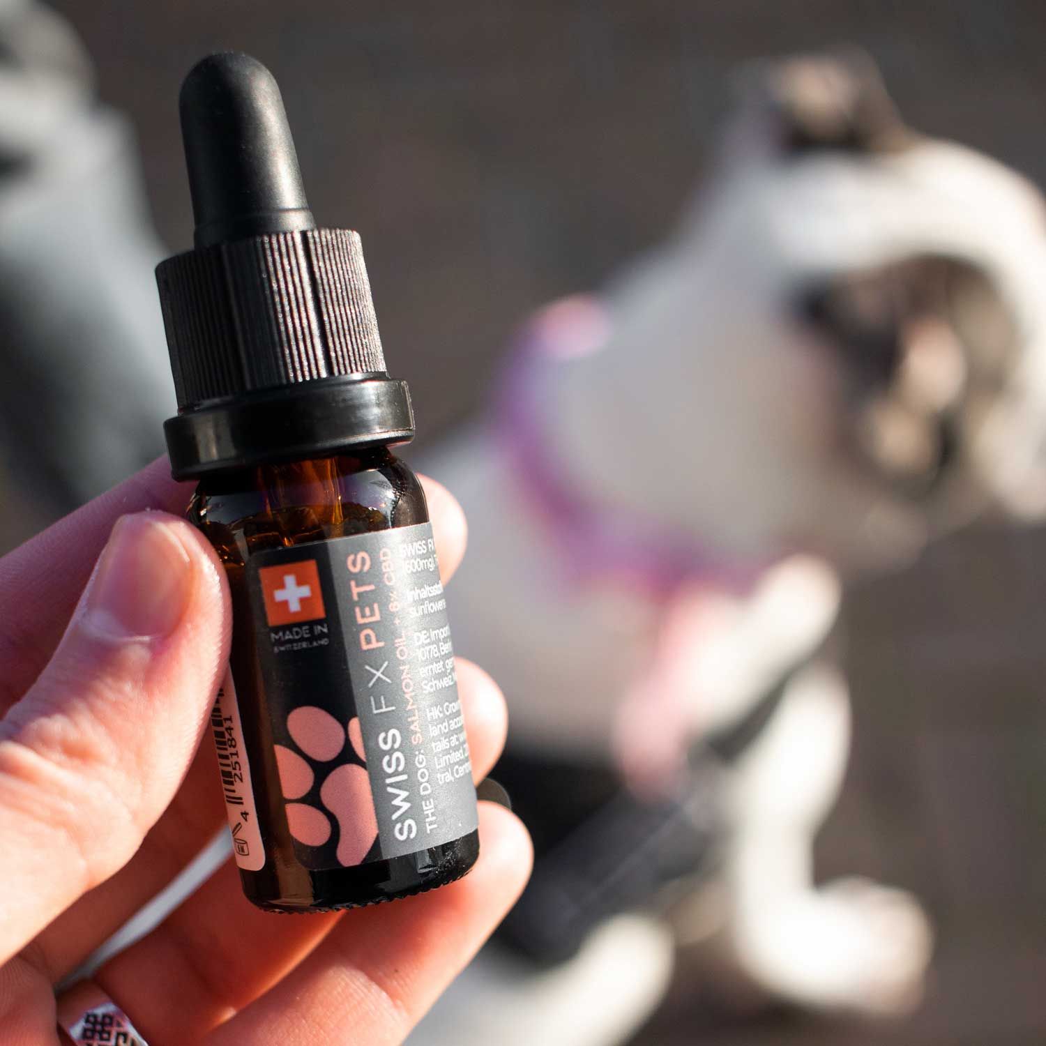 SWISS FX CBD Öl Hund