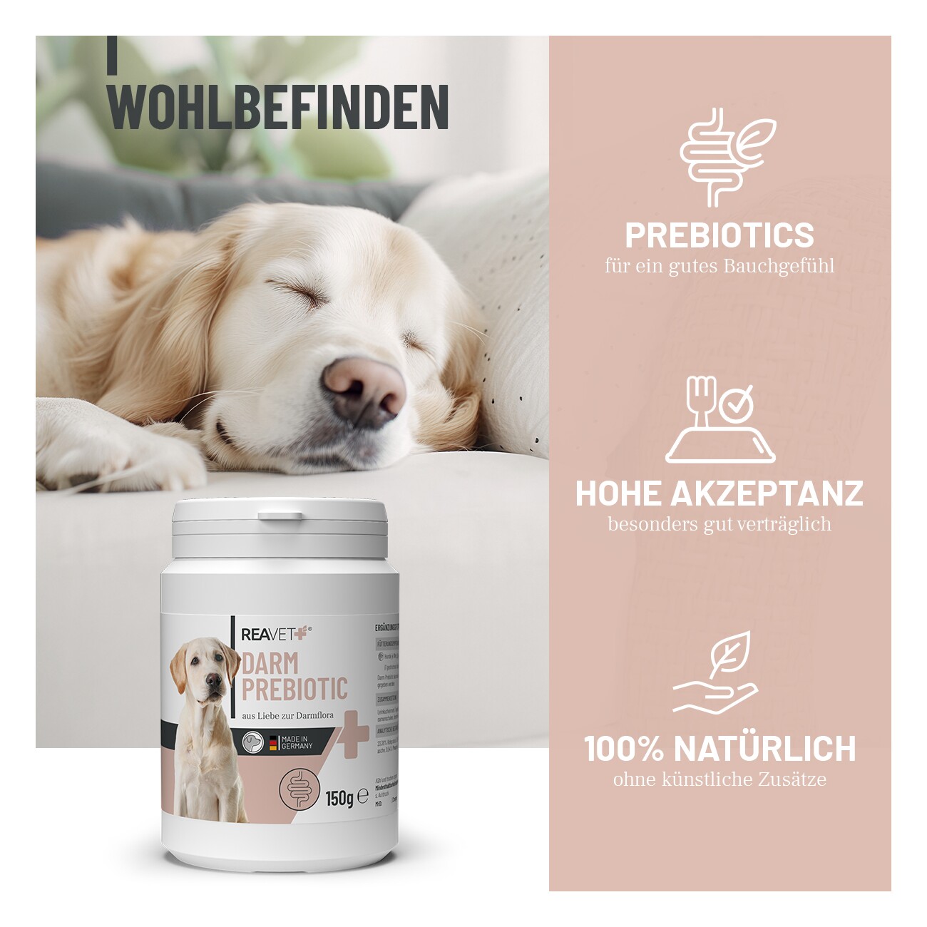 REAVET Darm Prebiotic 150g