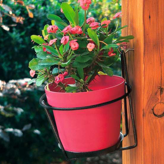 Porte-pot avec soucoupe (mural) anthracite, pour pot 16-18 cm