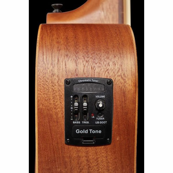 Gold Tone Micro Bass 25 Fretless w/Bag