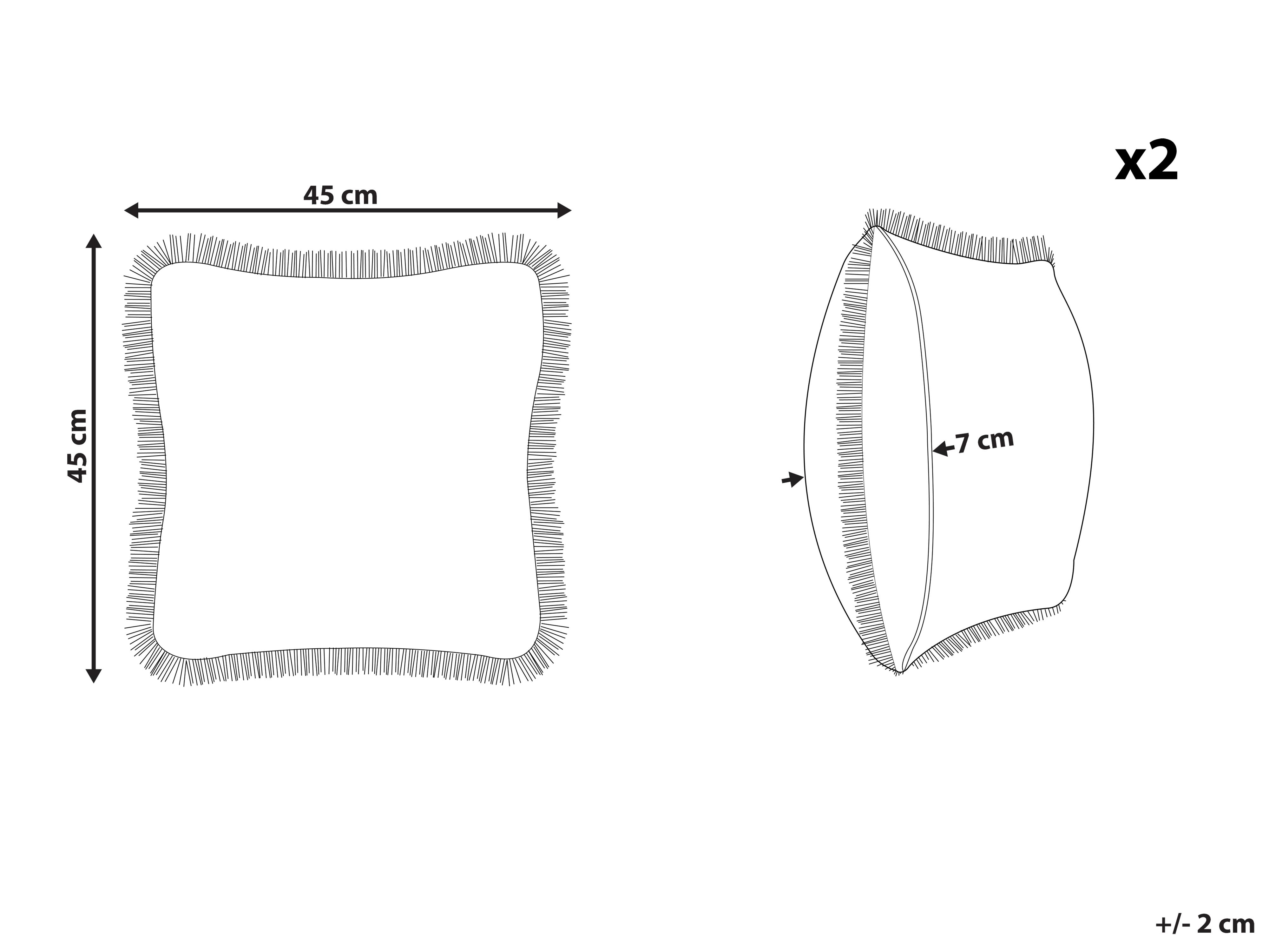 Set van 2 sierkussens POTHOS Fluweel 45 x 45 cm Beige effen