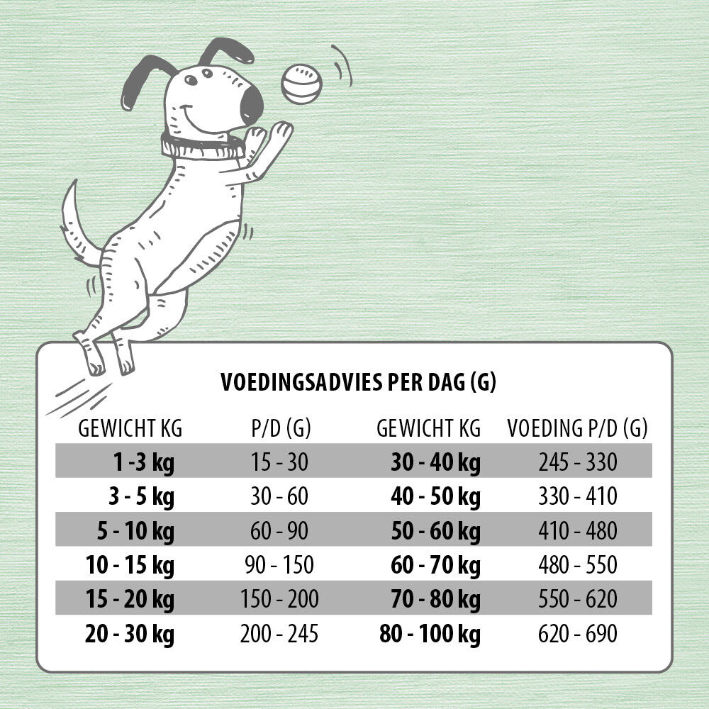 Jarco Dog Active - Hondenvoer - 2.5 Kilogram - kalkoen