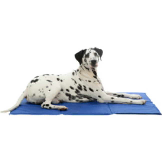 Matelas rafraîchissant bleu Trixie pour chien