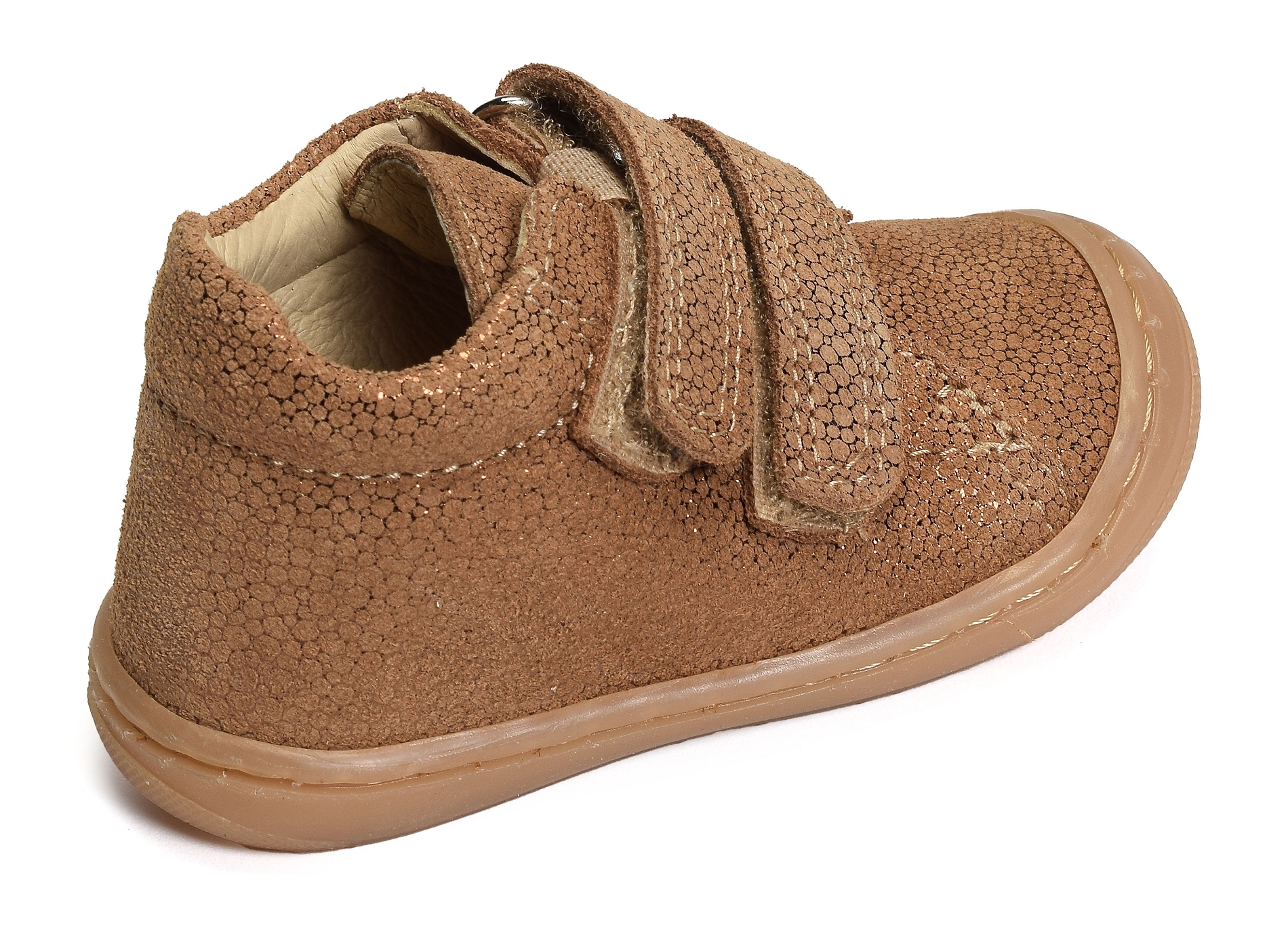 Stella camel