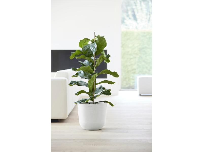 Ecopots Pflanzentopf Oslo 35, Weiss Robuster und langlebiger Blumentopf