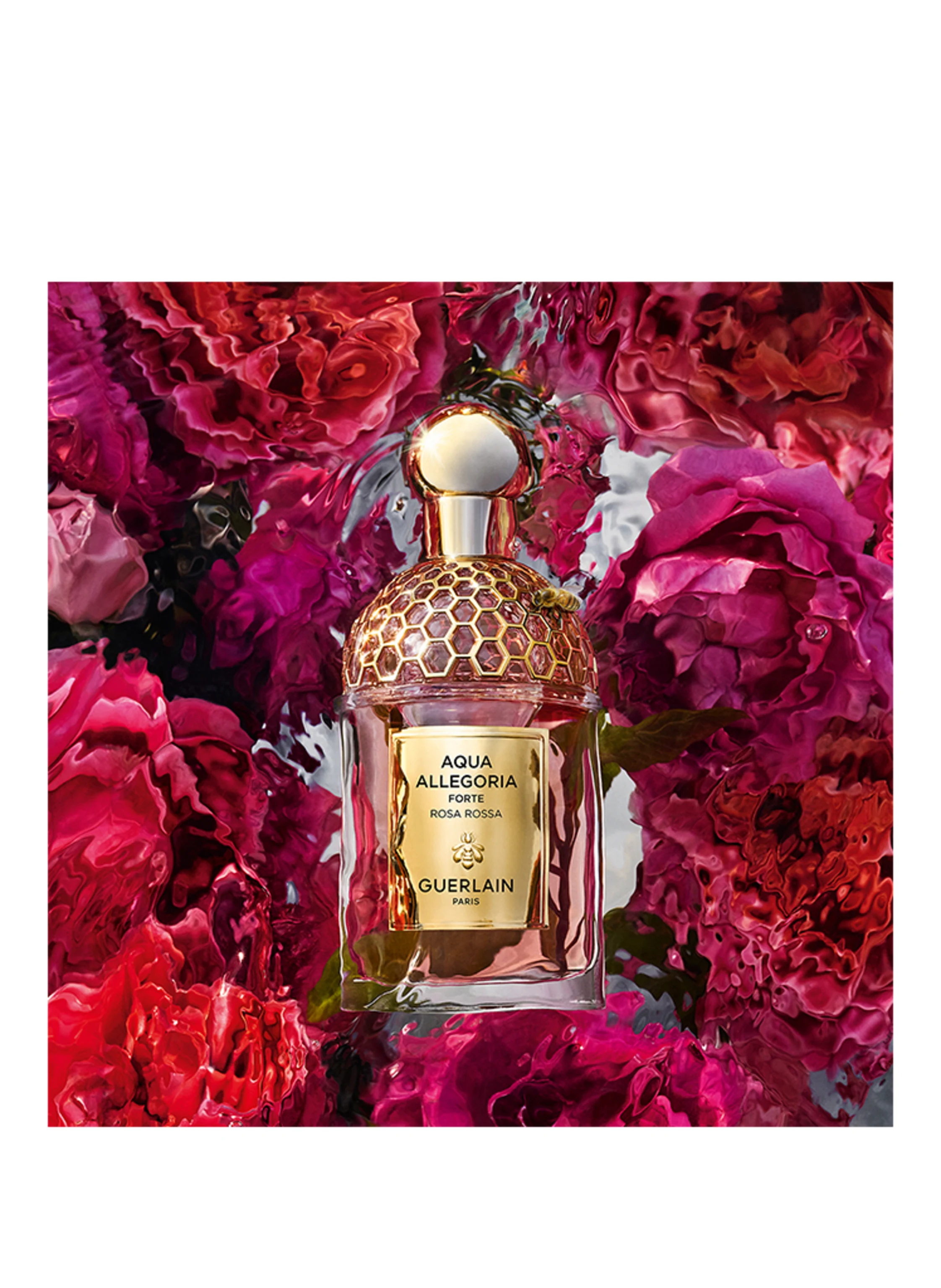 GUERLAIN AQUA ALLEGORIA ROSA ROSSA