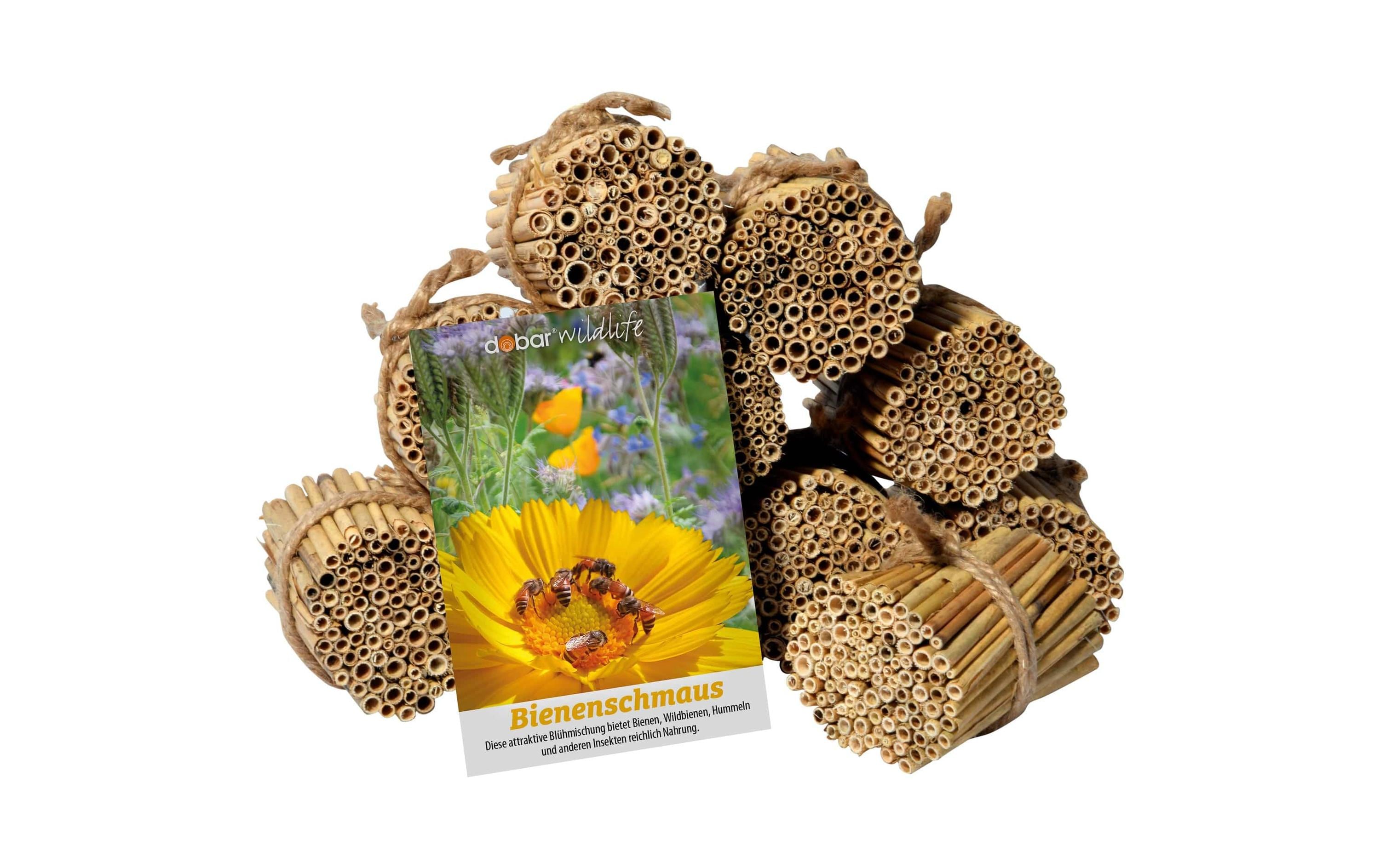 Schilfrohrhalme-Set, 1000 Stück, 9 cmFüllmaterial für Insektenhotels