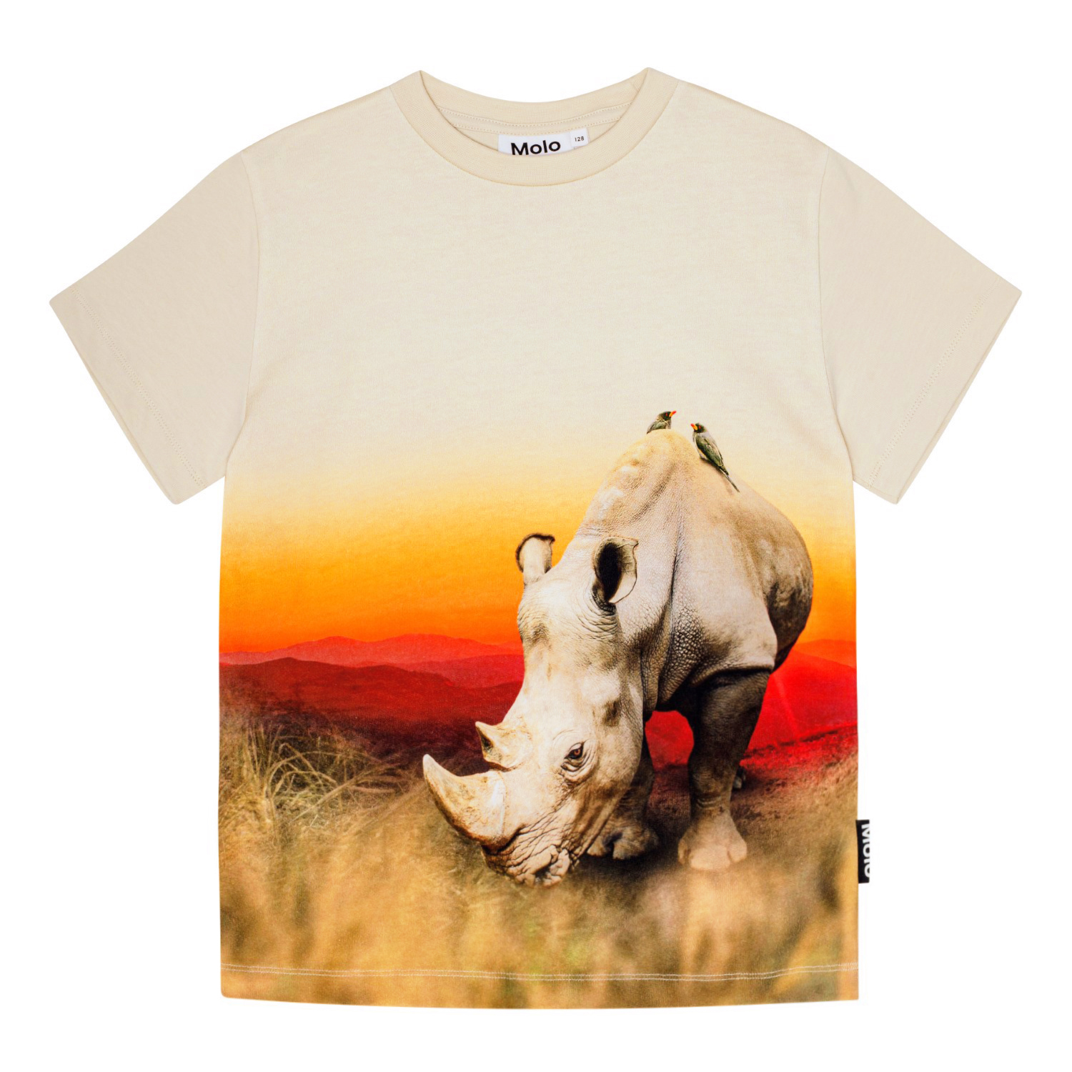 Roxo - Rhino