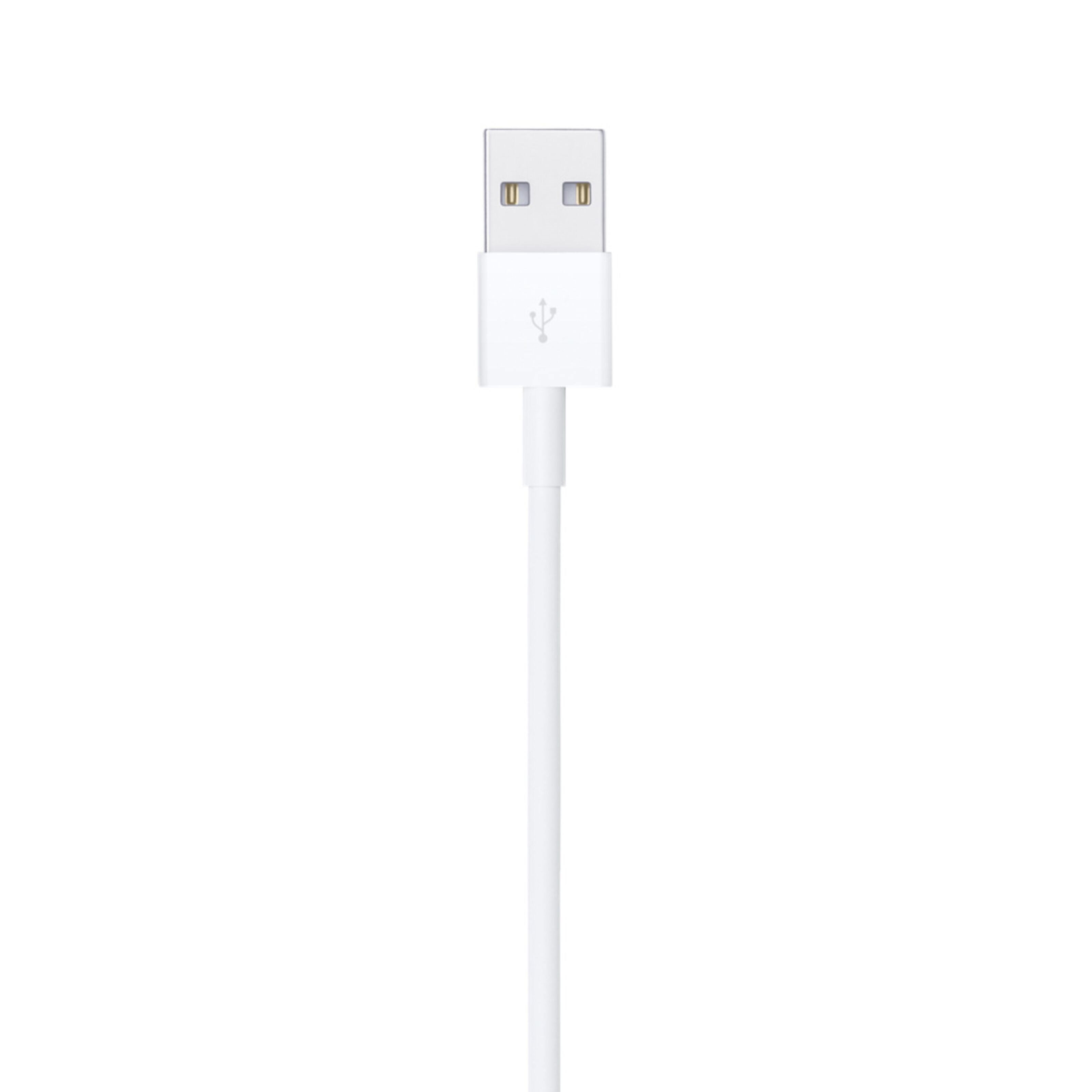 Apple Lightning til USB-kabel 0,5 m