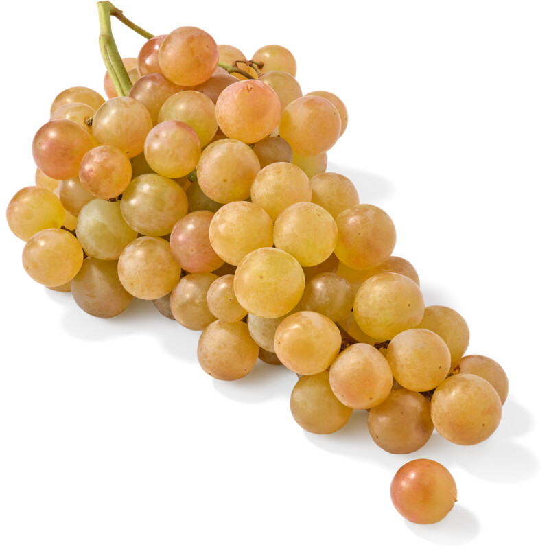 AH Pink Muscat pitloze druiven