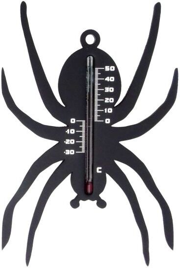Nature muurthermometer zwarte spin