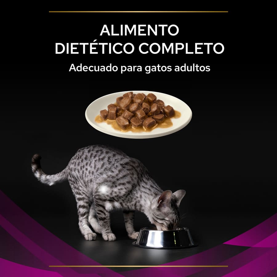 Pro Plan Veterinary Diets Feline UR Salmão x 85 g