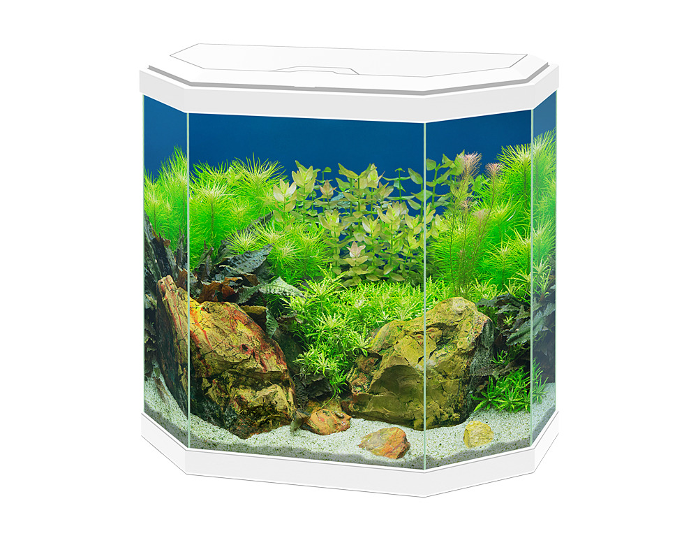 Aqua 30 LED Branco Ciano - Conjunto completo com LED, filtro e consumíveis
