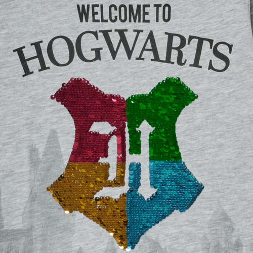 TEAM HEROES  - T-SHIRT HARRY POTTER - Gris