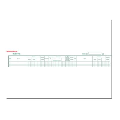 Exacompta - Registre des recettes/dépenses pour associations - 25 x 38 cm