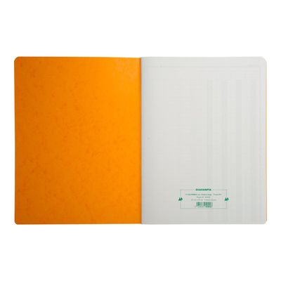 Exacompta - Piqûre comptable - 4 colonnes par page - 32 x 25 cm - 80 pages