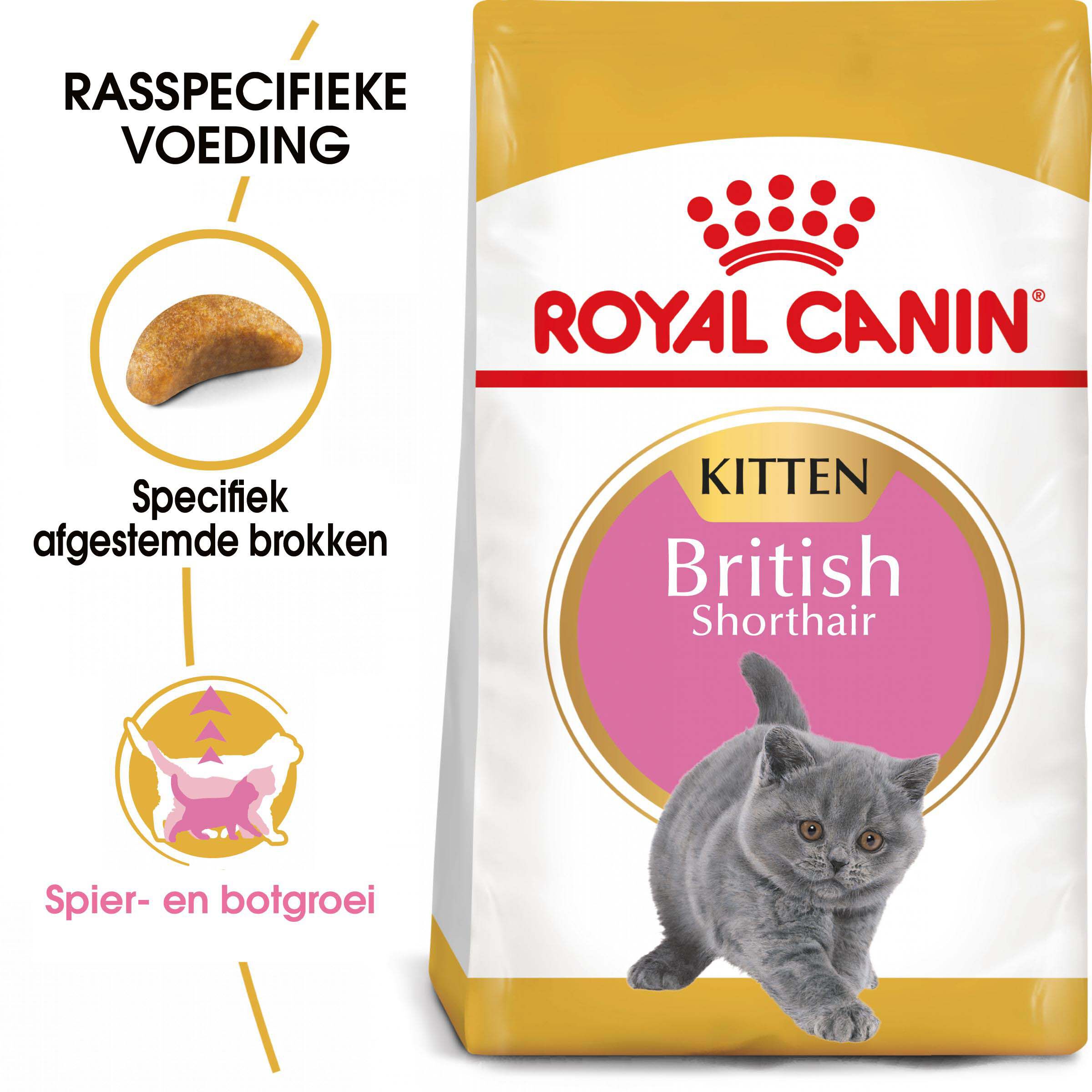 Royal Canin Britse Korthaar Kitten - Kattenvoer - 2 Kilogram - Gevogelte