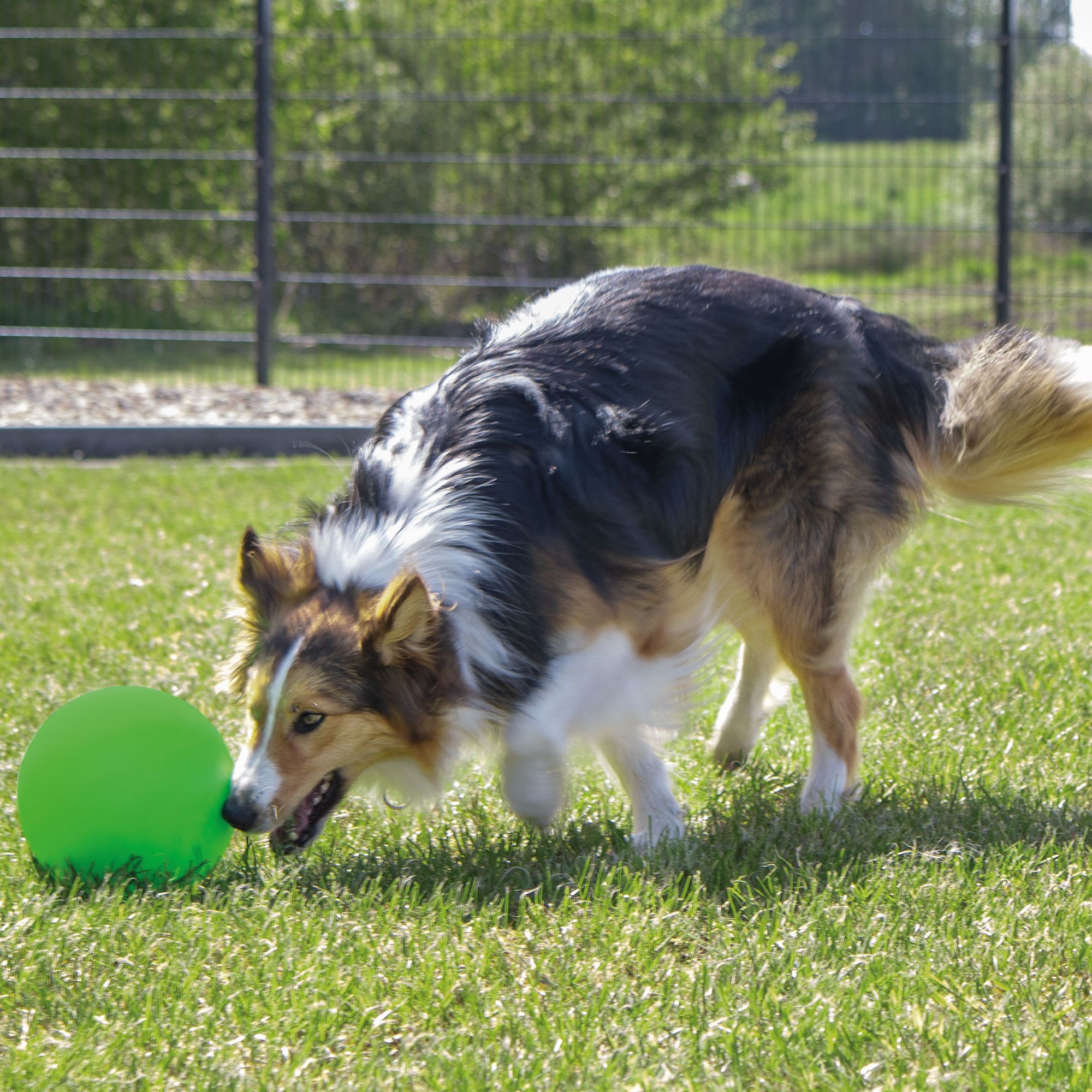 robuster Treibball aus Kunststoff ca. 25 cm