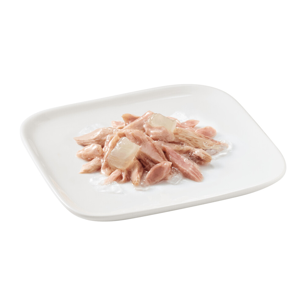 10x Schesir Hondenvoer Puppy Tonijn Aloe in Gelei150 gr