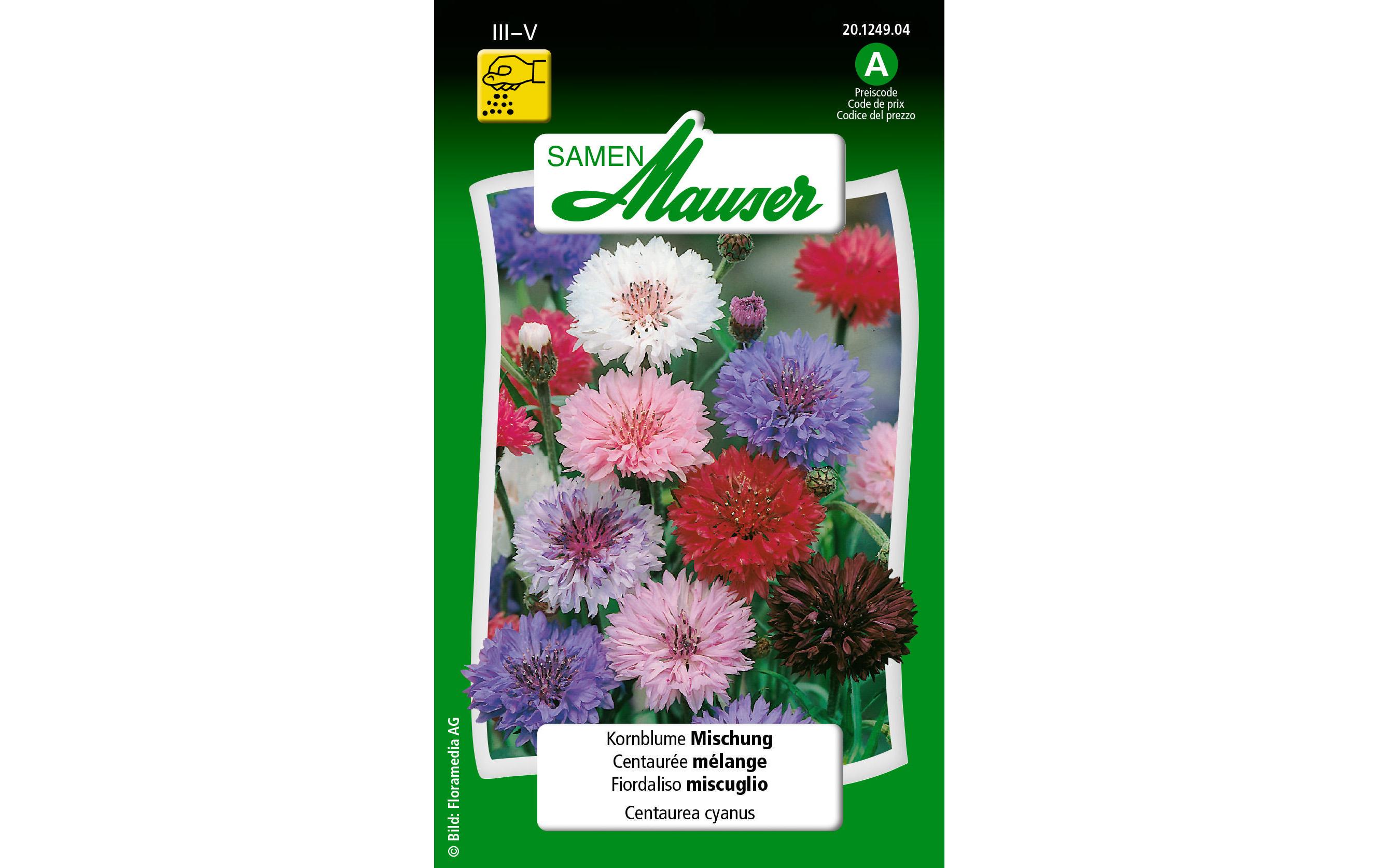 Saatgut Kornblume MischungBlumensamen