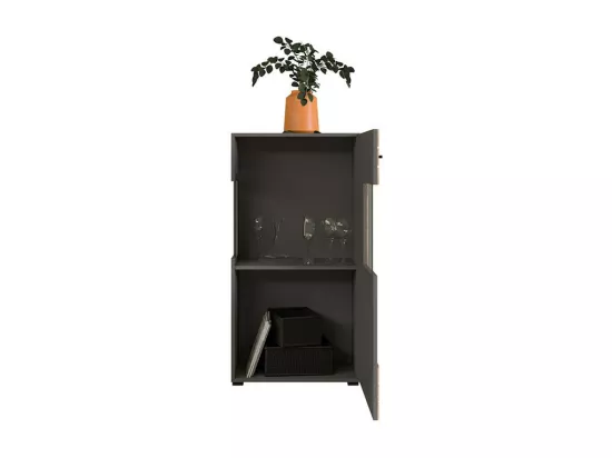 Armoire de Salon 1 porte battante Gris/Bois - NORFE - Dimensions: L 60 x l 37 x H 118 cm