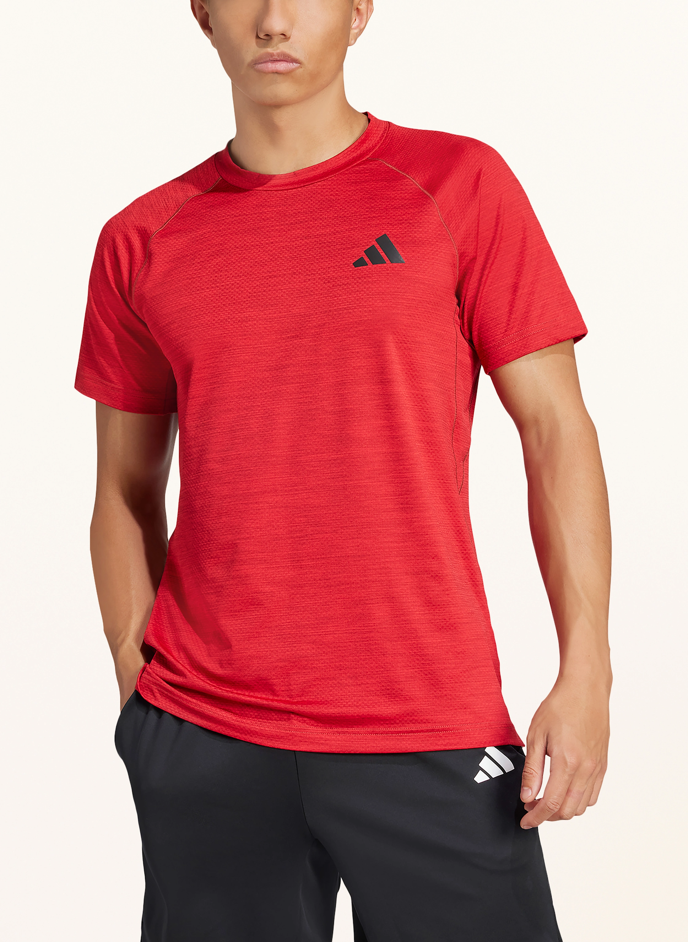 adidas T-Shirt GYM+