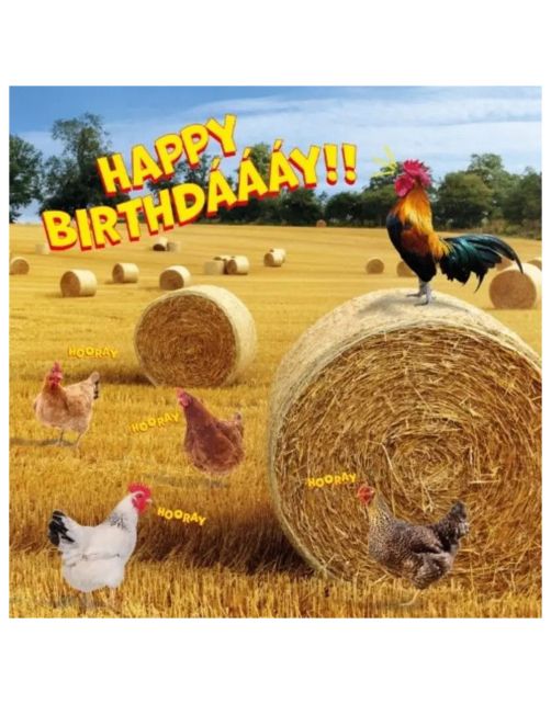 Plenty Gifts Kaart Happy Birthday Chickens - Cadeau - 13.7x13.7 cm