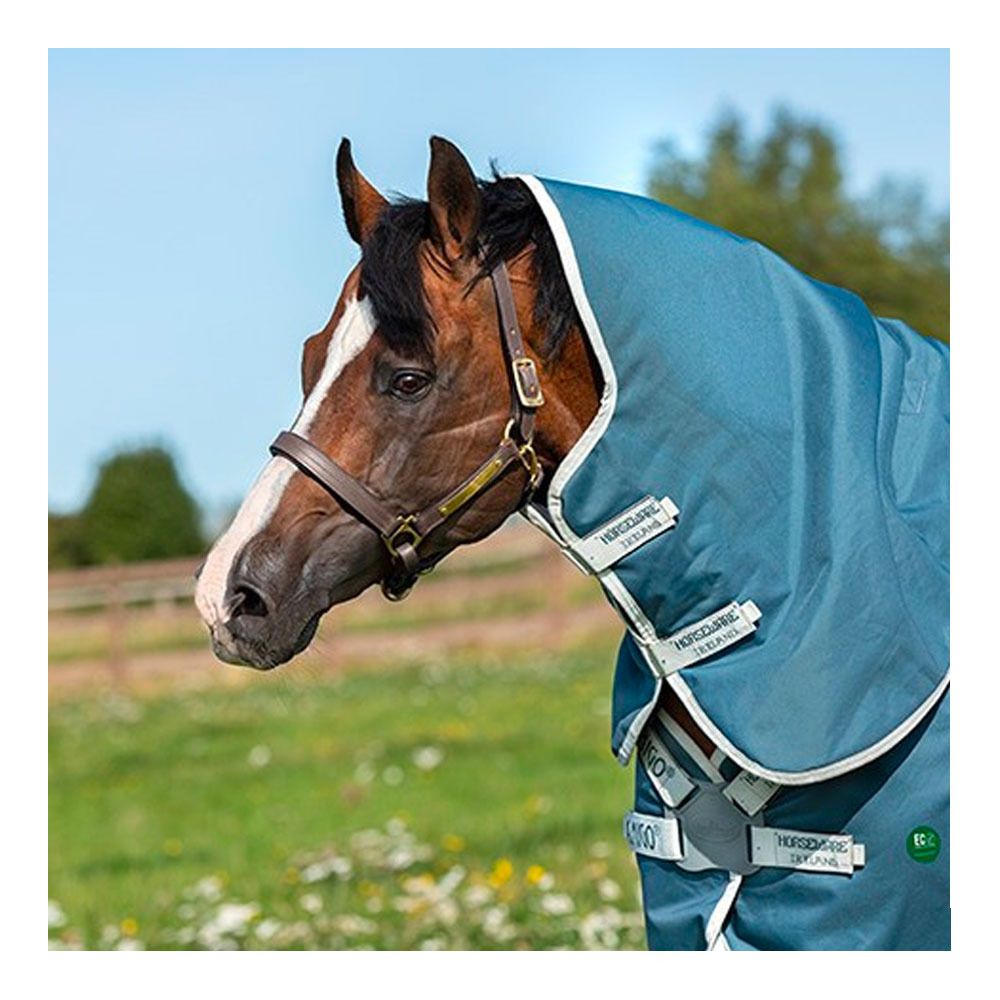 Horseware AMIGO AMECO 12 PLUS 0G - Couverture de paddock + couvre-cou teal/grey
