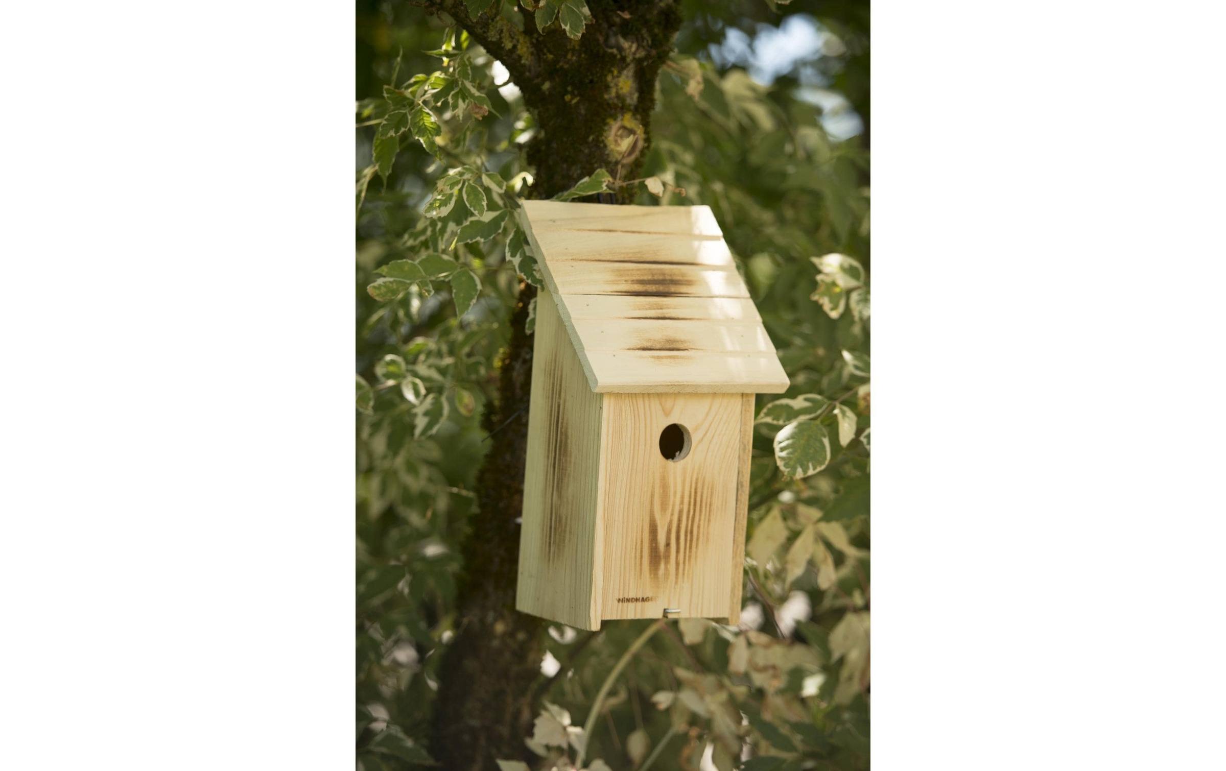 Windhager Nistkasten »Family« Holzart: Pappel (Bulgarien)