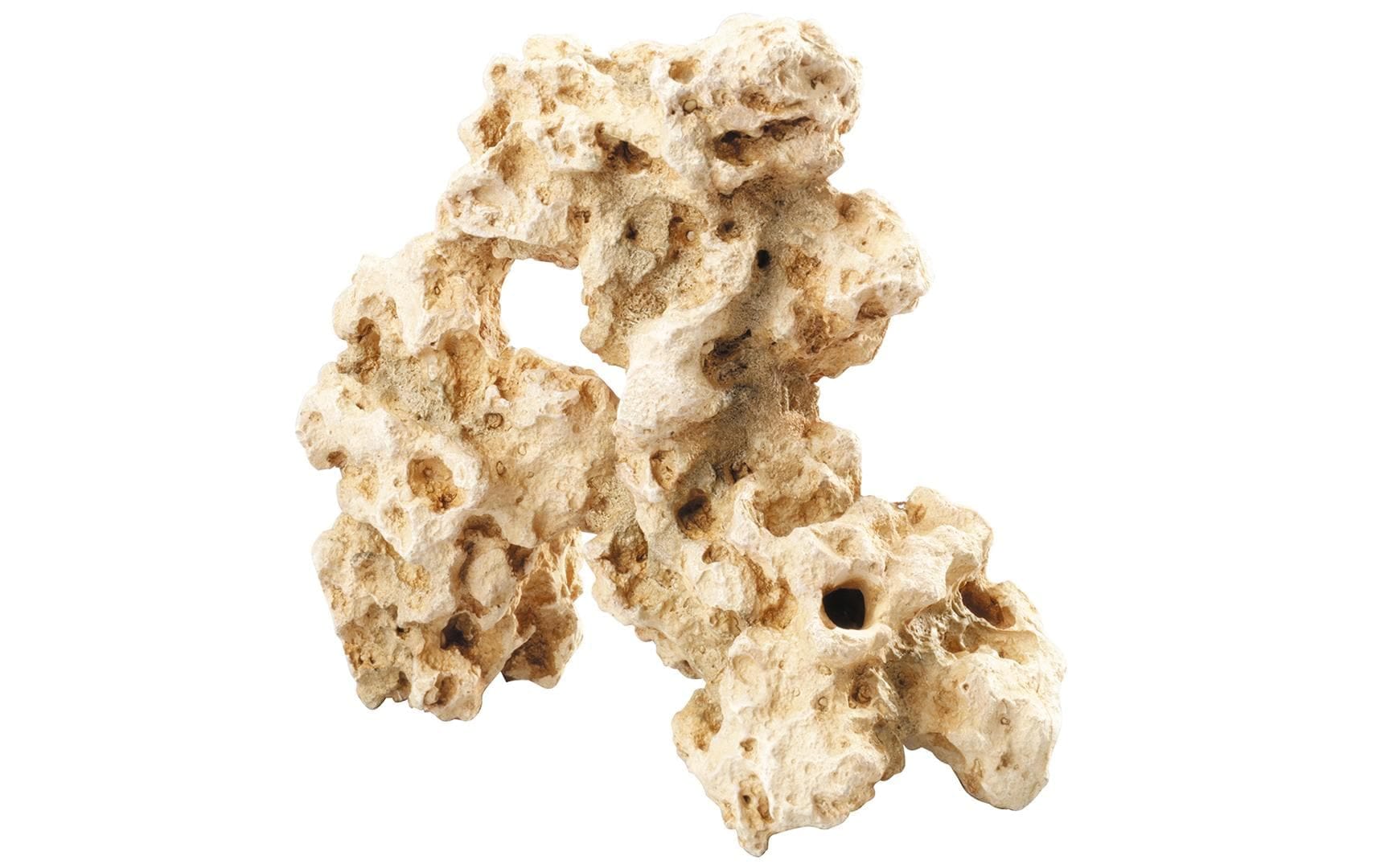 Aquariendeko »AquaDella Combomoon l 27 x 11,5 x 24,5 cm«