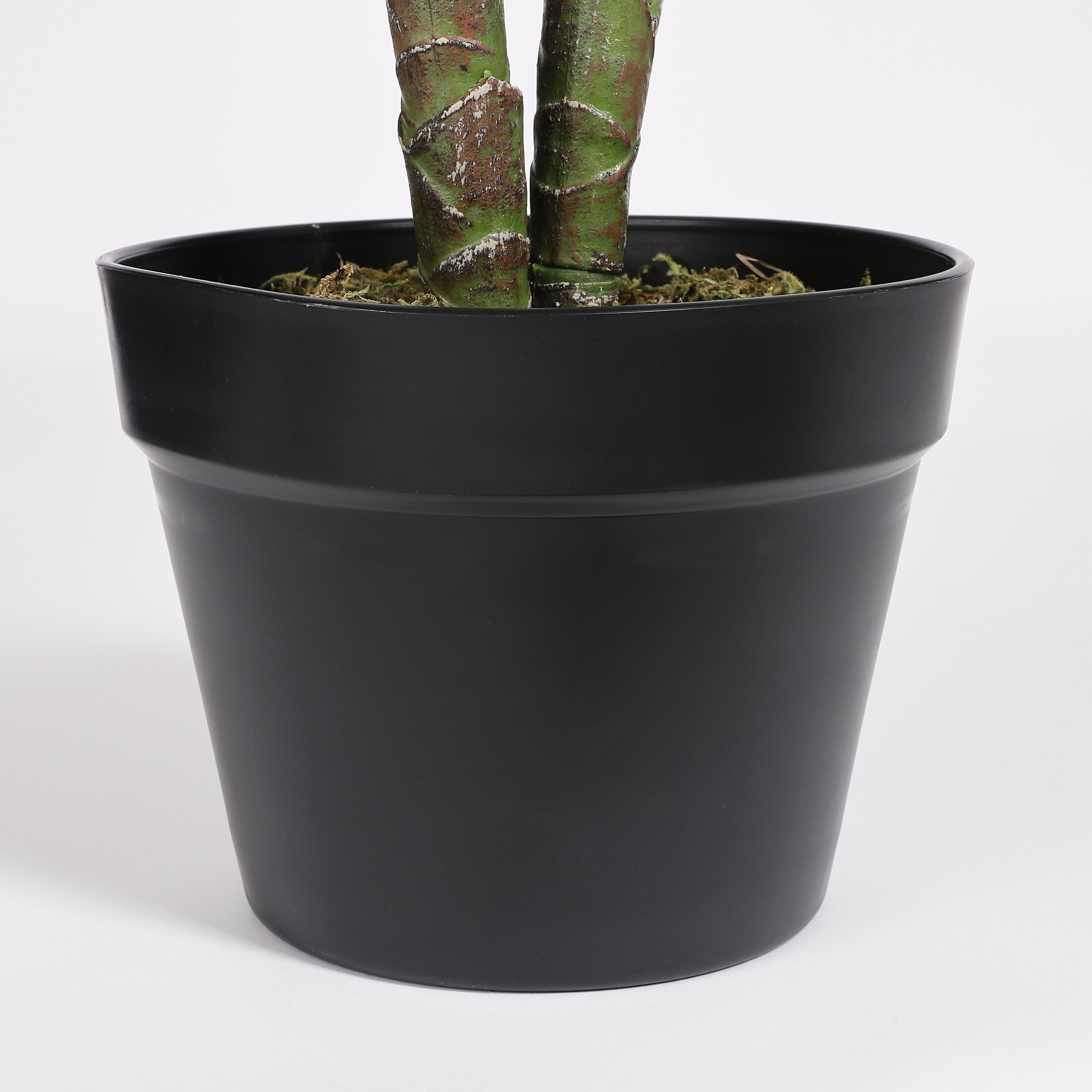 Mica Decorations Taro in pot groen - h100xd70cm