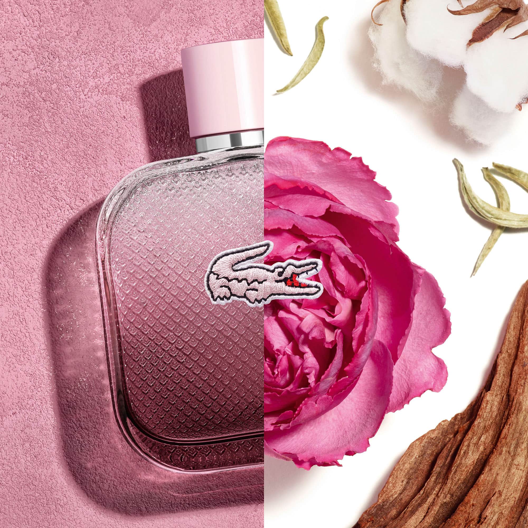 L.12.12 Rose Eau Intense 100 ml Parfums - Blanc - Lacoste - Femme