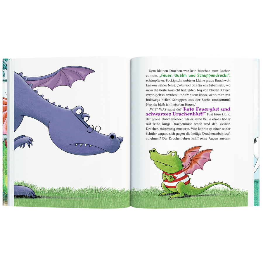 SPIEGELBURG COPPENRATH Der kl. Raubdrache (Bd.1) - Das v. Rauben von Prinzessinnen