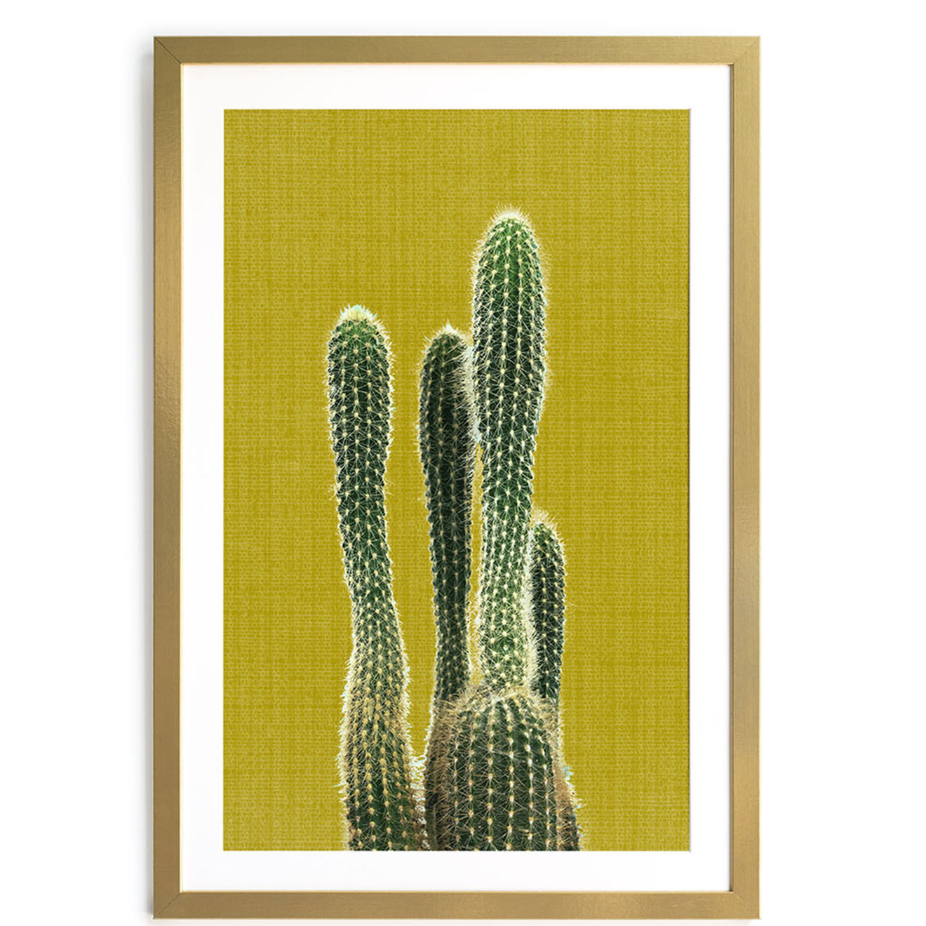 Really Nice Things Cadre Cactus doré - 60x40 cm