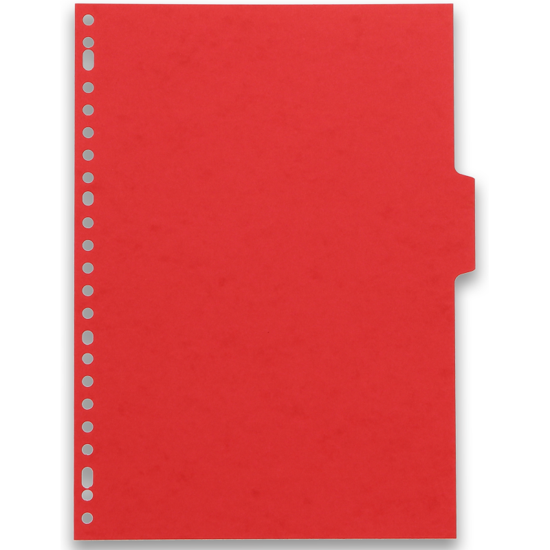 Intercalaires neutres A4 6 positions carte lustree 5/10 assorti