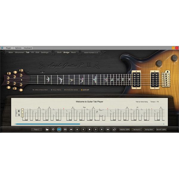 Ample Sound Ample Guitar P III