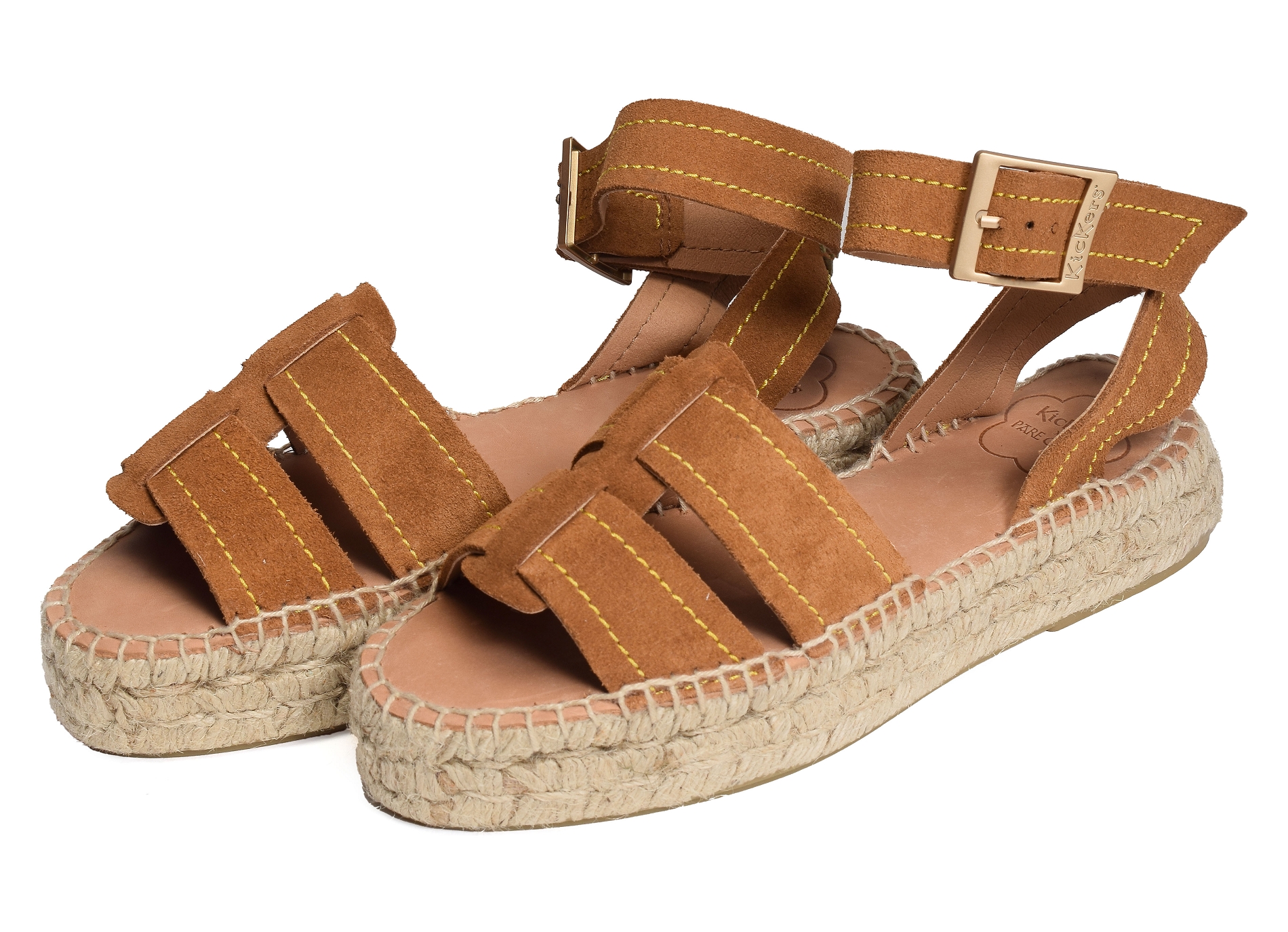 Kick parezi camel