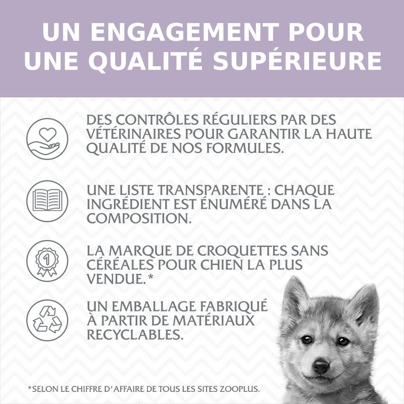 Wolf of Wilderness Junior, canard pour chiot