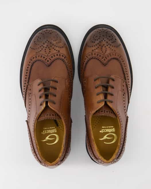Gallucci J02051AM515503 Schnürschuhe in Braun