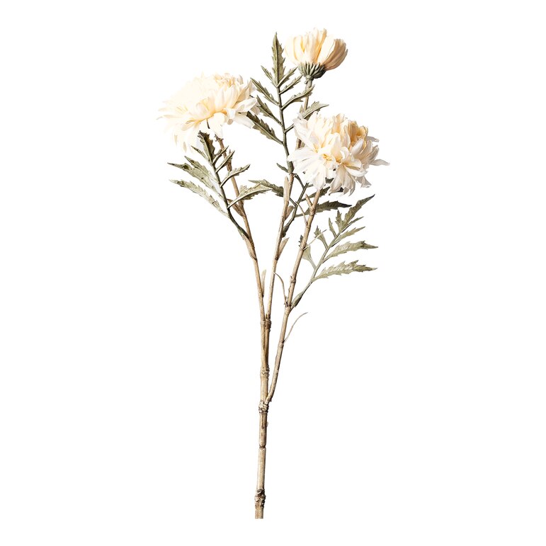 creme, L 46 cm