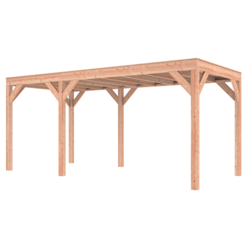 Overkapping Douglas 545x255cm a-symmetrisch