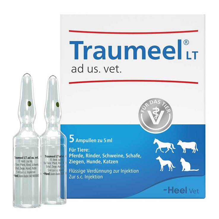 Traumeel LT Ampullen vet. (für Tiere), 5X5 ml
